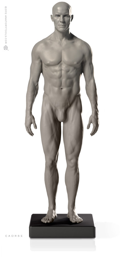 Male 1:6 Proportional  fig v2